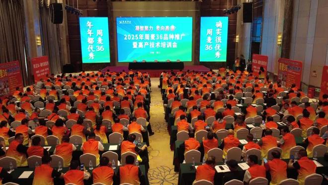 凝智聚力麦向高丰！2025年周麦36号品种推广暨高产技术培训会成功召开