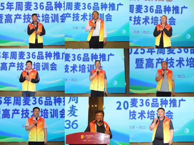 凝智聚力麦向高丰！2025年周麦36号品种推广暨高产技术培训会成功召开(图7)