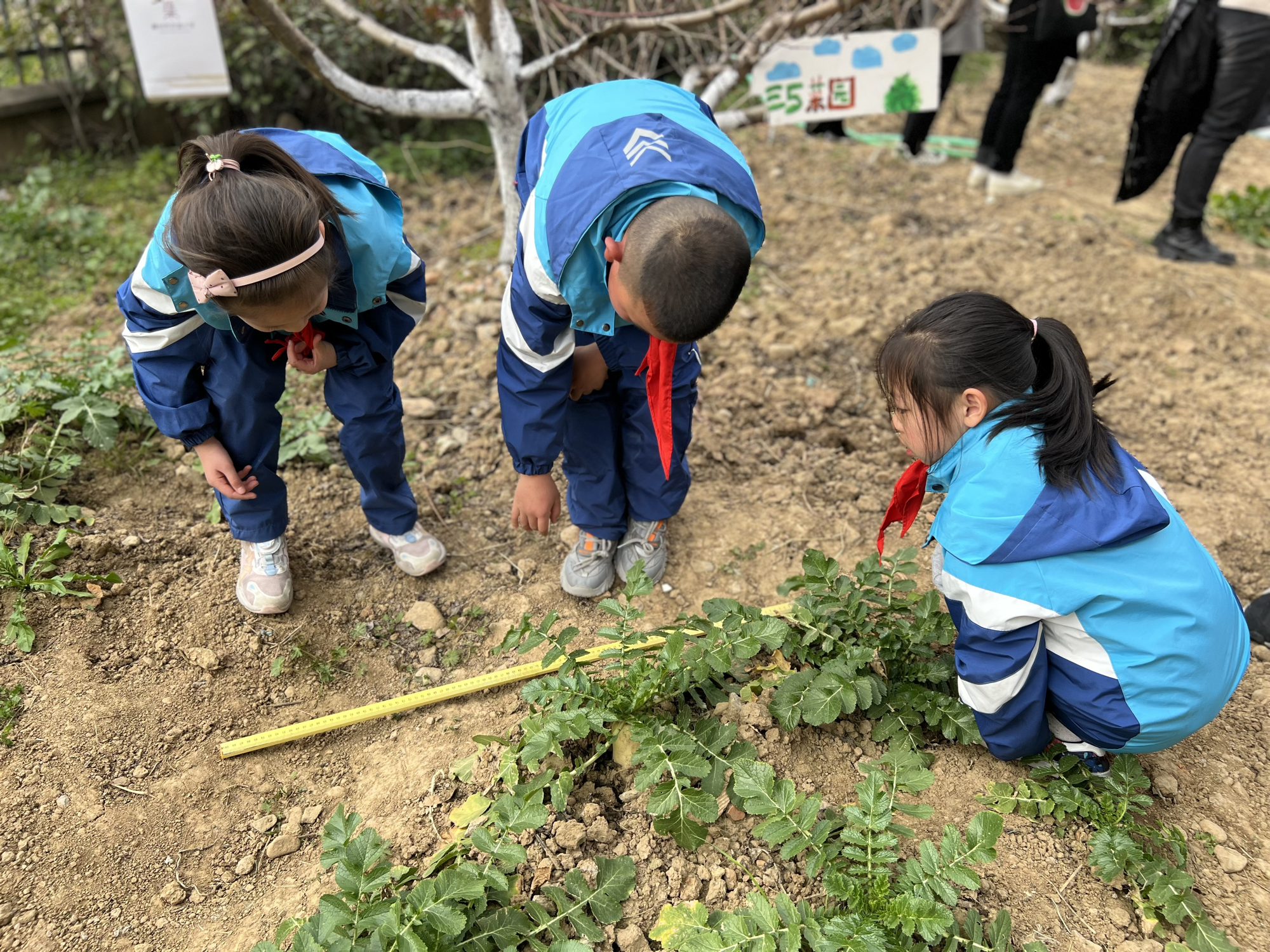 提高课堂效率保障课间活动时间——嵊州市双塔小学“10+30”高效融合智慧课堂侧记(图9)